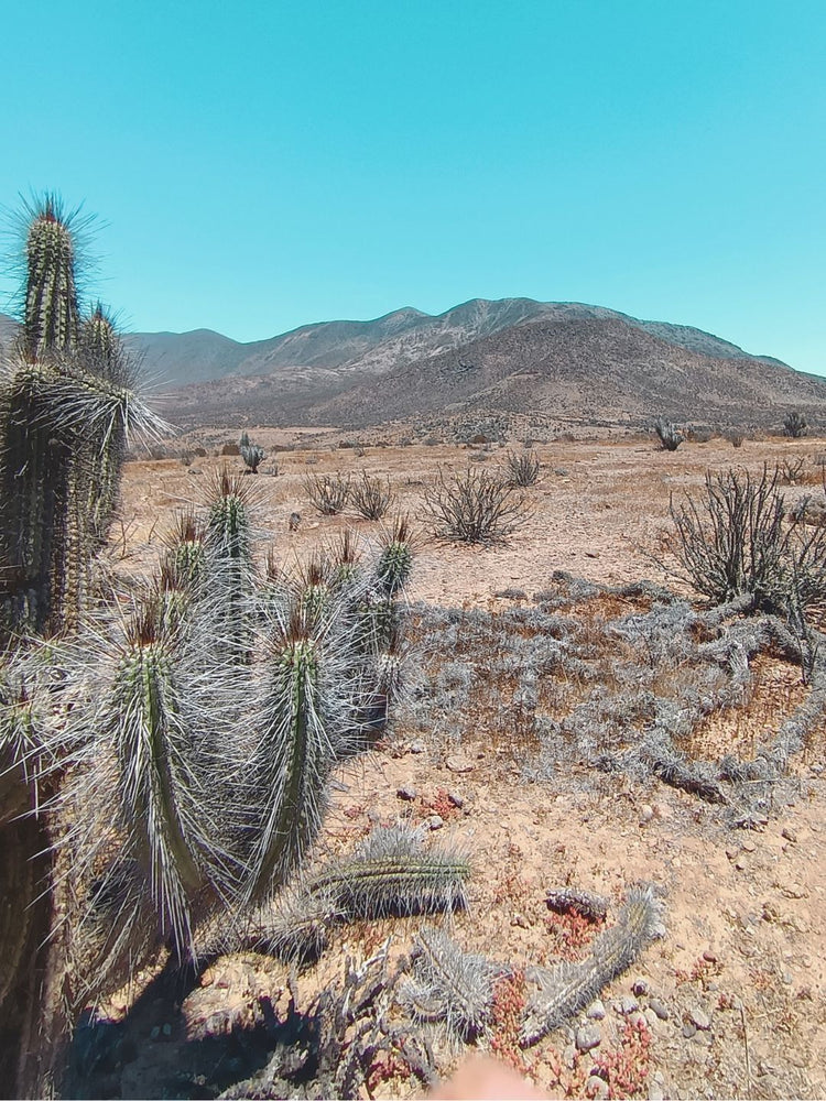 Línea Atacama