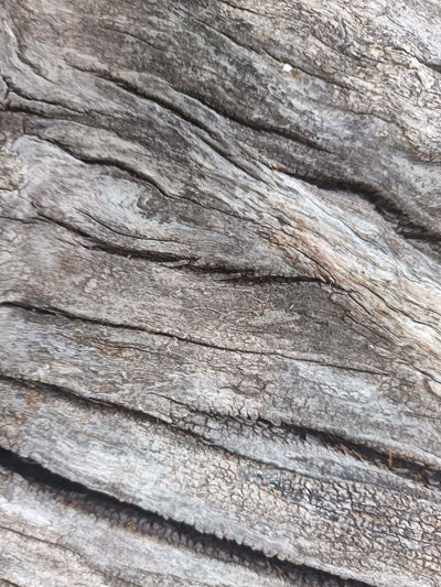 LÍNEA PATAGONIA