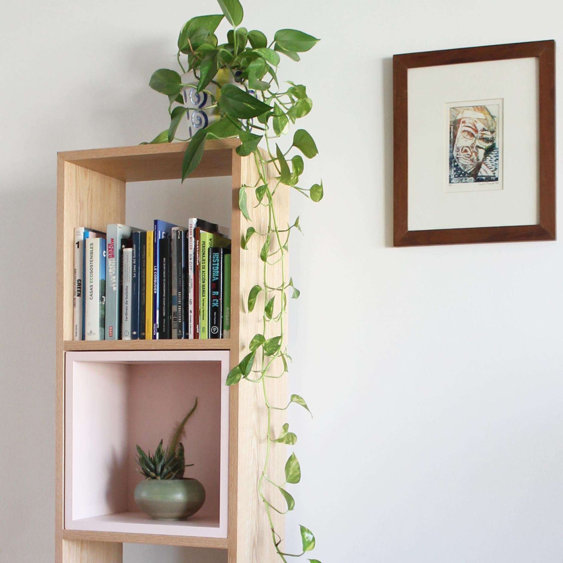 Una habitación con estantería, plantas y librero con vista a la