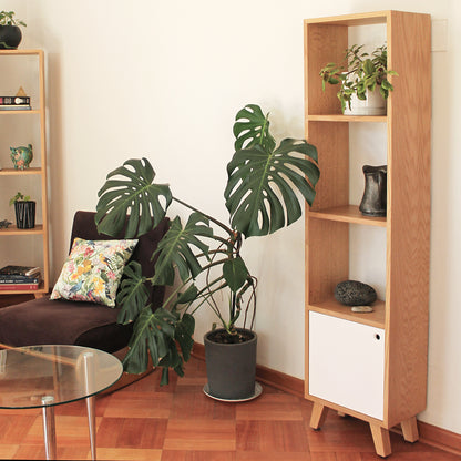 LIBRERO JUNCAL CON PUERTA BLANCA EN MADERA NATURAL